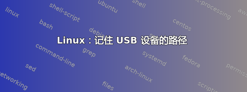 Linux：记住 USB 设备的路径