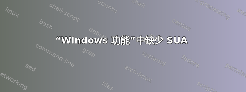 “Windows 功能”中缺少 SUA