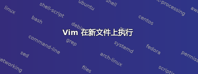 Vim 在新文件上执行