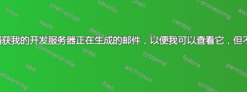 我如何才能捕获我的开发服务器正在生成的邮件，以便我可以查看它，但不能发送它？