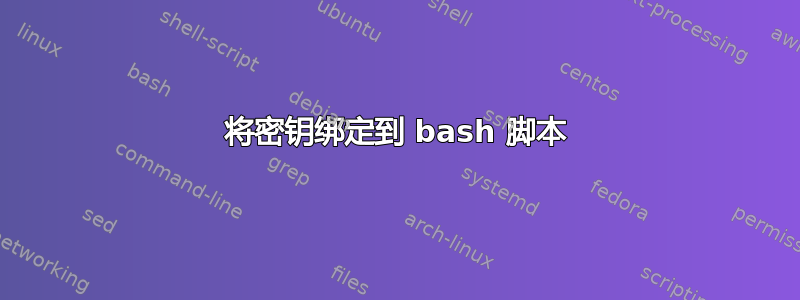 将密钥绑定到 bash 脚本