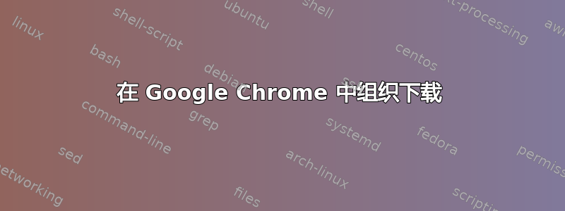 在 Google Chrome 中组织下载