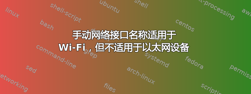 手动网络接口名称适用于 Wi-Fi，但不适用于以太网设备