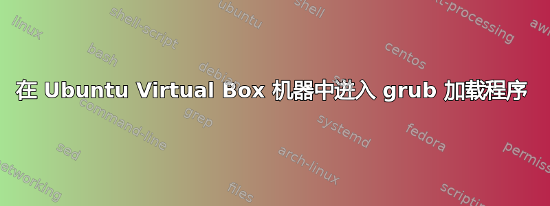 在 Ubuntu Virtual Box 机器中进入 grub 加载程序