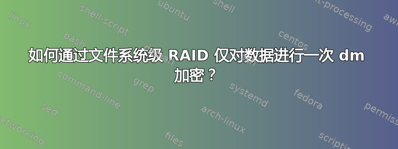 如何通过文件系统级 RAID 仅对数据进行一次 dm 加密？