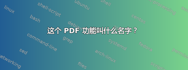 这个 PDF 功能叫什么名字？