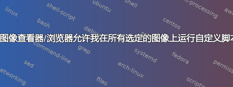 哪个图像查看器/浏览器允许我在所有选定的图像上运行自定义脚本？