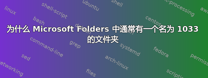 为什么 Microsoft Folders 中通常有一个名为 1033 的文件夹