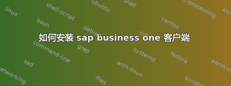 如何安装 sap business one 客户端