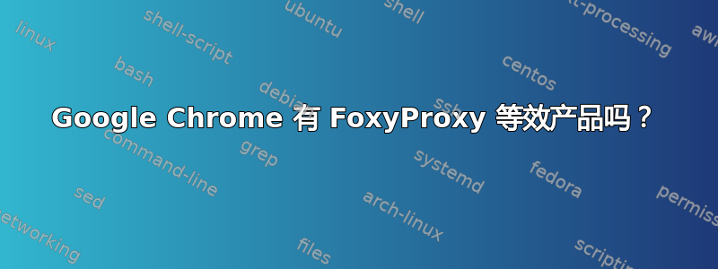 Google Chrome 有 FoxyProxy 等效产品吗？