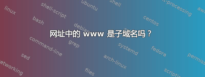 网址中的 www 是子域名吗？