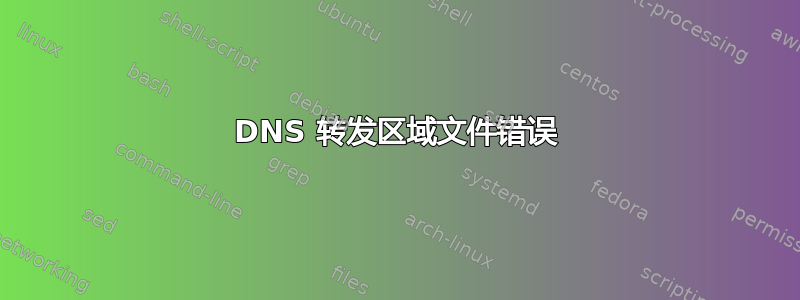 DNS 转发区域文件错误