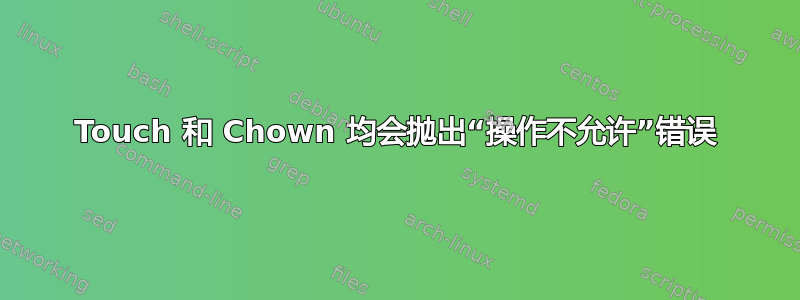 Touch 和 Chown 均会抛出“操作不允许”错误