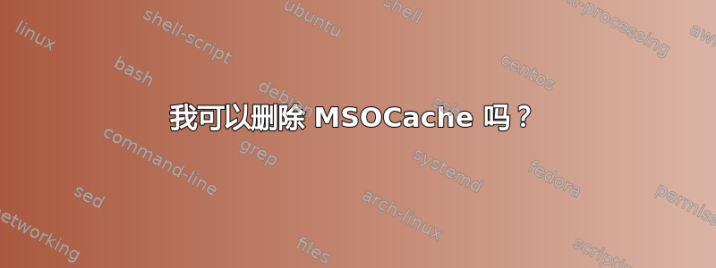 我可以删除 MSOCache 吗？