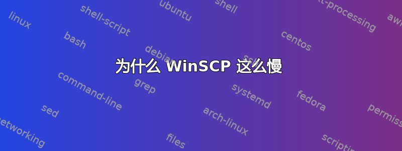 为什么 WinSCP 这么慢