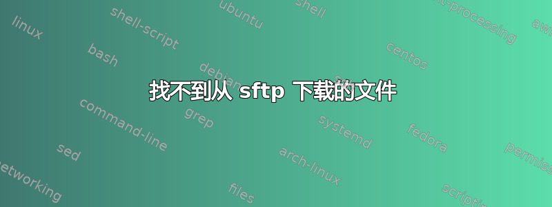 找不到从 sftp 下载的文件