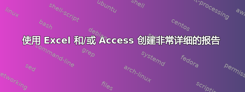 使用 Excel 和/或 Access 创建非常详细的报告