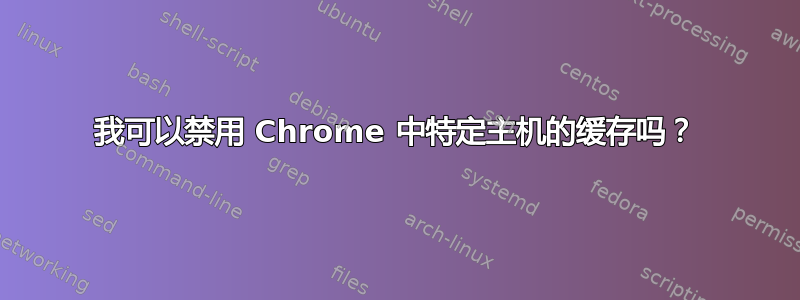 我可以禁用 Chrome 中特定主机的缓存吗？