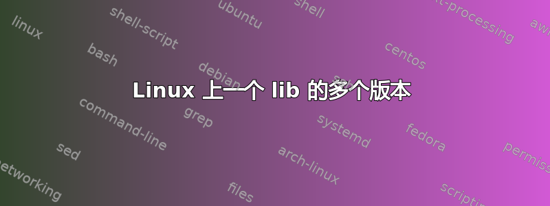 Linux 上一个 lib 的多个版本