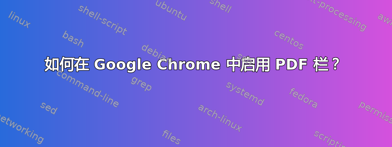 如何在 Google Chrome 中启用 PDF 栏？