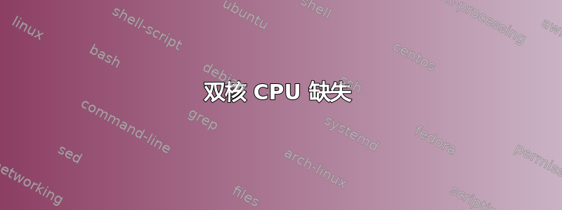 双核 CPU 缺失