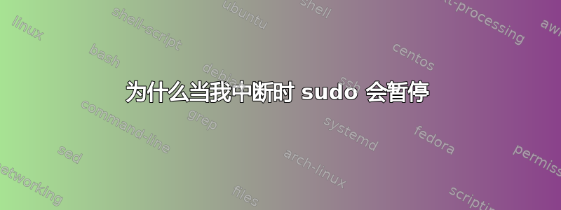 为什么当我中断时 sudo 会暂停