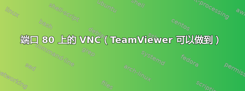 端口 80 上的 VNC（TeamViewer 可以做到）