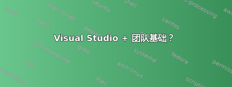 Visual Studio + 团队基础？