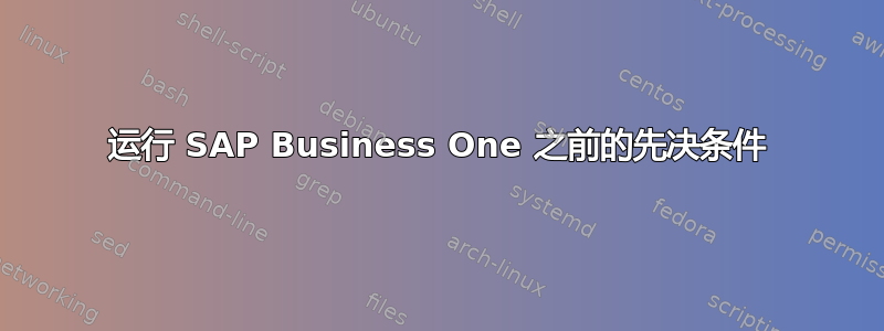 运行 SAP Business One 之前的先决条件