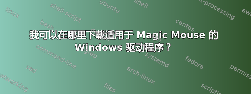 我可以在哪里下载适用于 Magic Mouse 的 Windows 驱动程序？