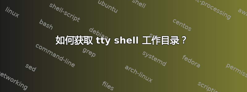 如何获取 tty shell 工作目录？