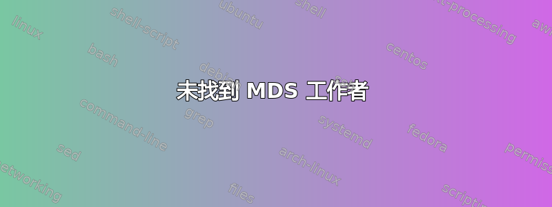 未找到 MDS 工作者