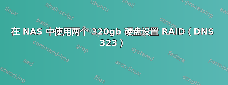 在 NAS 中使用两个 320gb 硬盘设置 RAID（DNS 323）