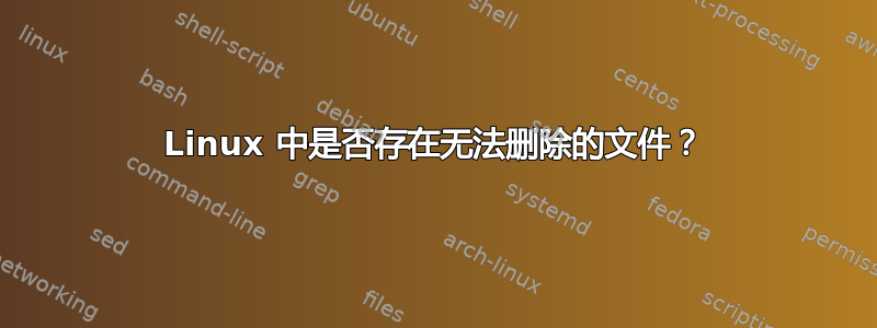 Linux 中是否存在无法删除的文件？