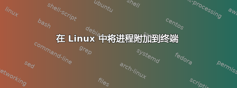 在 Linux 中将进程附加到终端