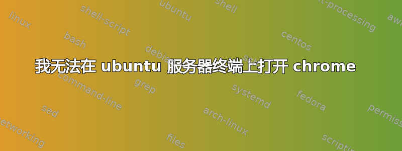 我无法在 ubuntu 服务器终端上打开 chrome 