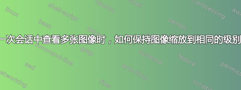 在一次会话中查看多张图像时，如何保持图像缩放到相同的级别？