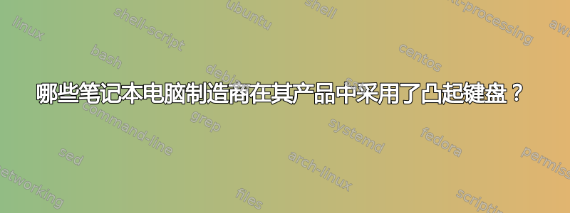 哪些笔记本电脑制造商在其产品中采用了凸起键盘？