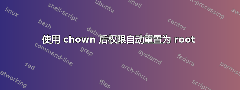 使用 chown 后权限自动重置为 root