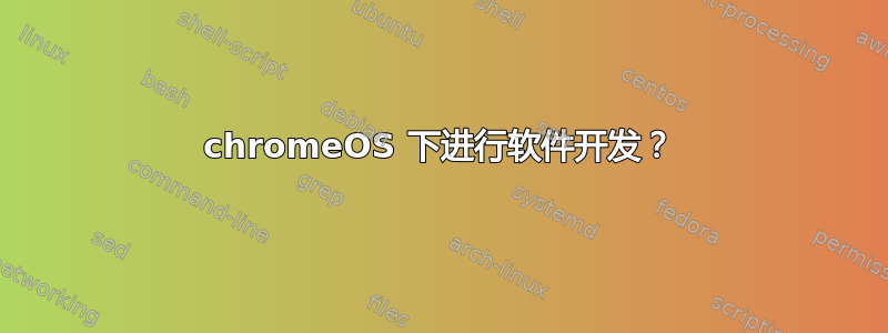 chromeOS 下进行软件开发？