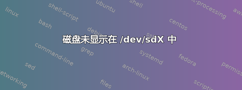 磁盘未显示在 /dev/sdX 中