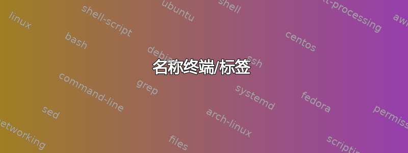 名称终端/标签