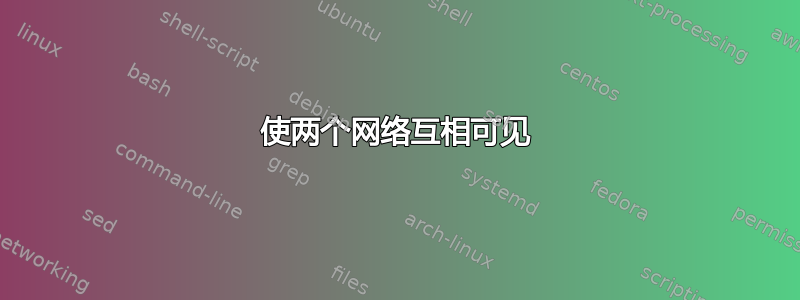 使两个网络互相可见