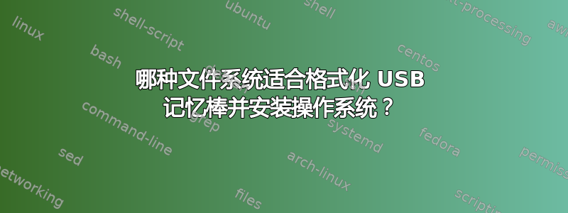 哪种文件系统适合格式化 USB 记忆棒并安装操作系统？