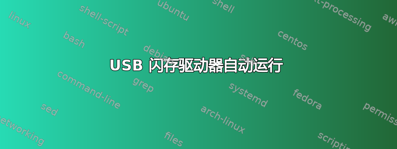 USB 闪存驱动器自动运行