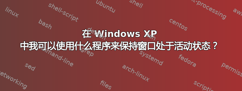 在 Windows XP 中我可以使用什么程序来保持窗口处于活动状态？