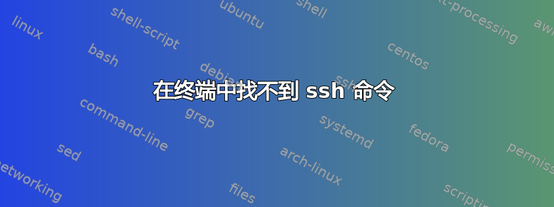 在终端中找不到 ssh 命令