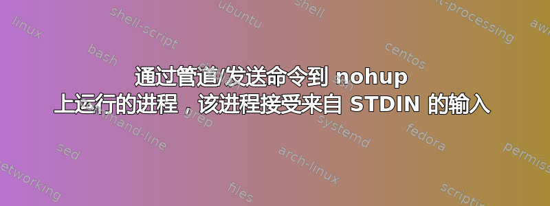 通过管道/发送命令到 nohup 上运行的进程，该进程接受来自 STDIN 的输入