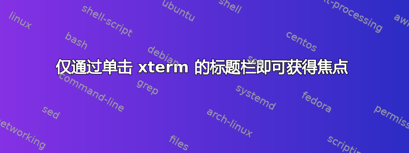 仅通过单击 xterm 的标题栏即可获得焦点