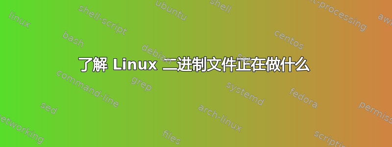 了解 Linux 二进制文件正在做什么